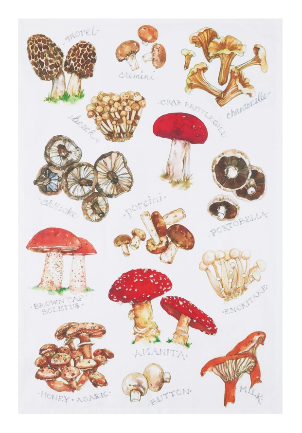 Field Guide Mushrooms Kitchen Towel - Pack of 4
