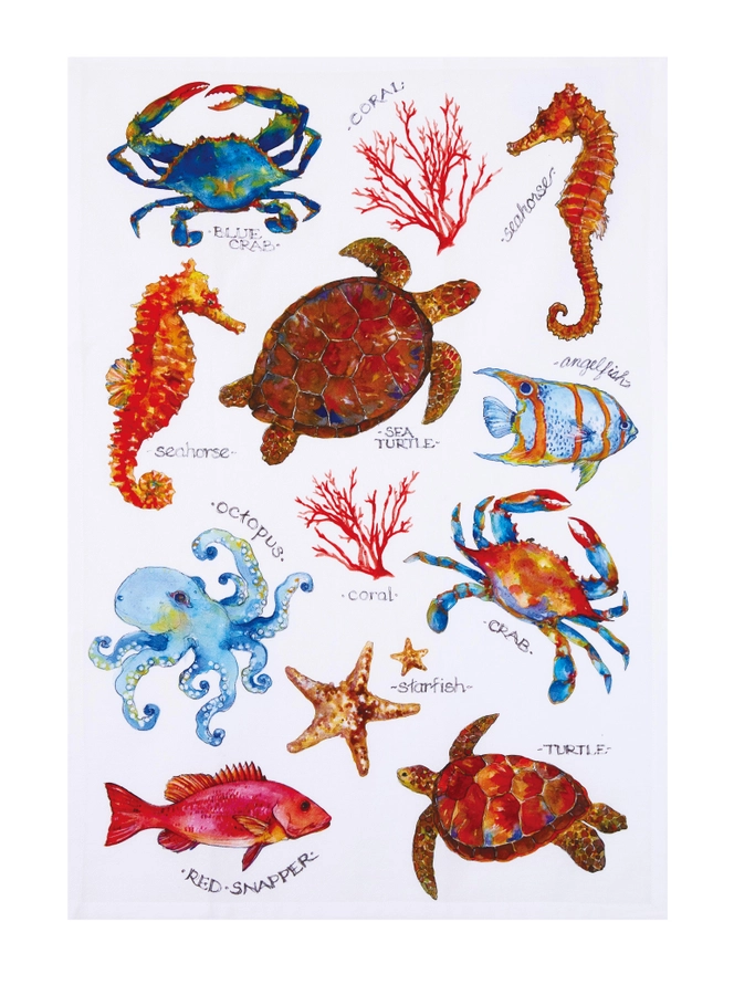 Field Guide Sealife Kitchen Towel - Pack of 4