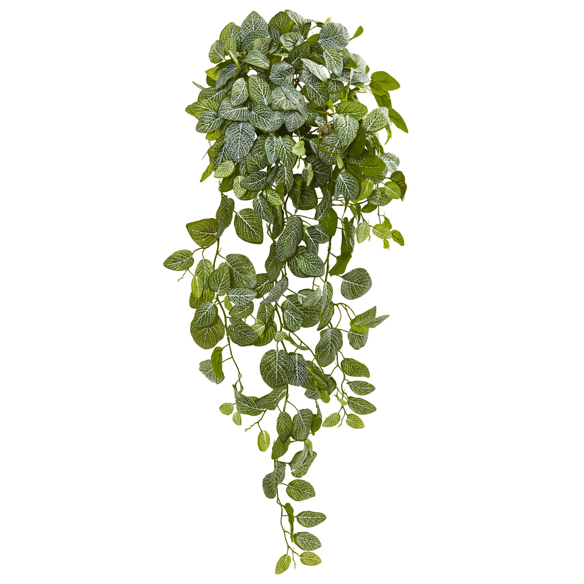 36β Summer Artificial Fittonia Hanging Bush Plant (Set of 2)