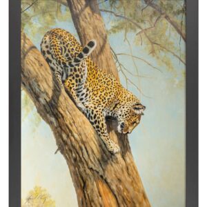 Graceful - Leopard - 11″ x 14″ Art Print
