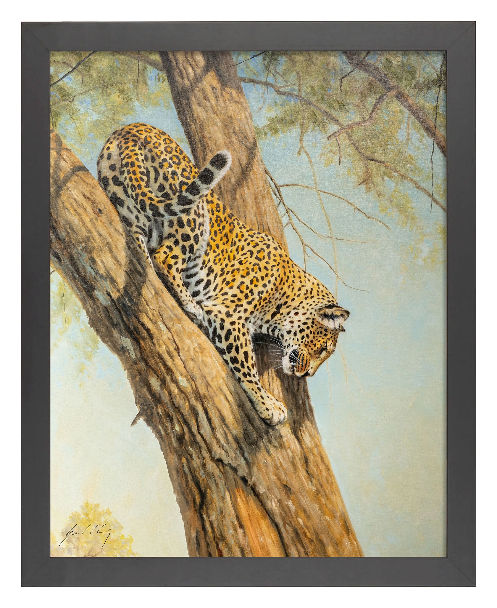 Graceful - Leopard - 11β³ x 14β³ Art Print