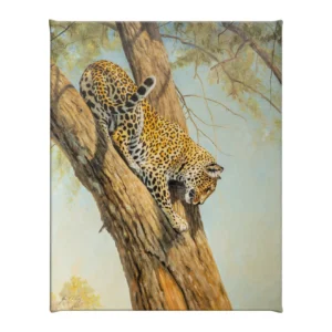 Graceful - Leopard - 24" x 19" Gallery Wrapped Canvas