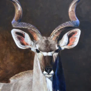 Greater Kudu - African Kudu Portrait - Limited Edition Giclee Canvas Print by James Corwin