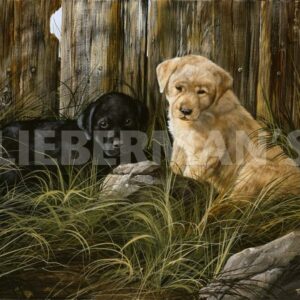 Lab Pup Pair - Art Prints