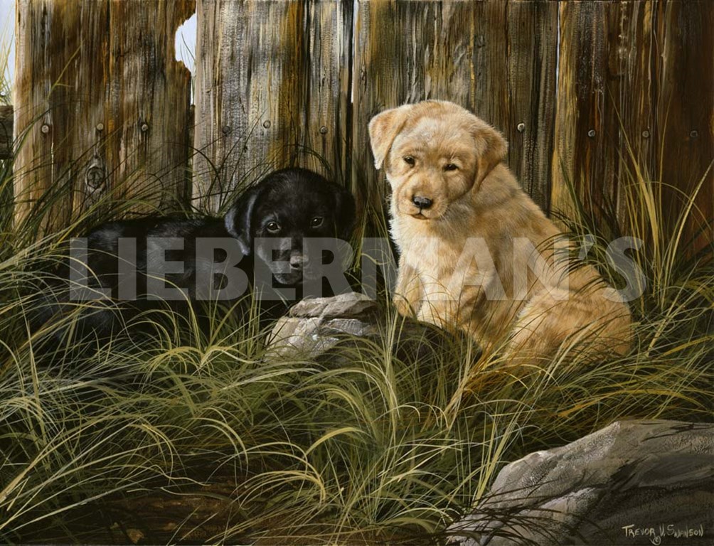 Lab Pup Pair - Art Prints