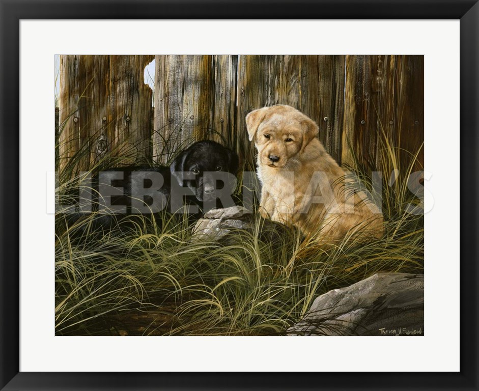 Lab Pup Pair - 31" x 25" Framed Art Print