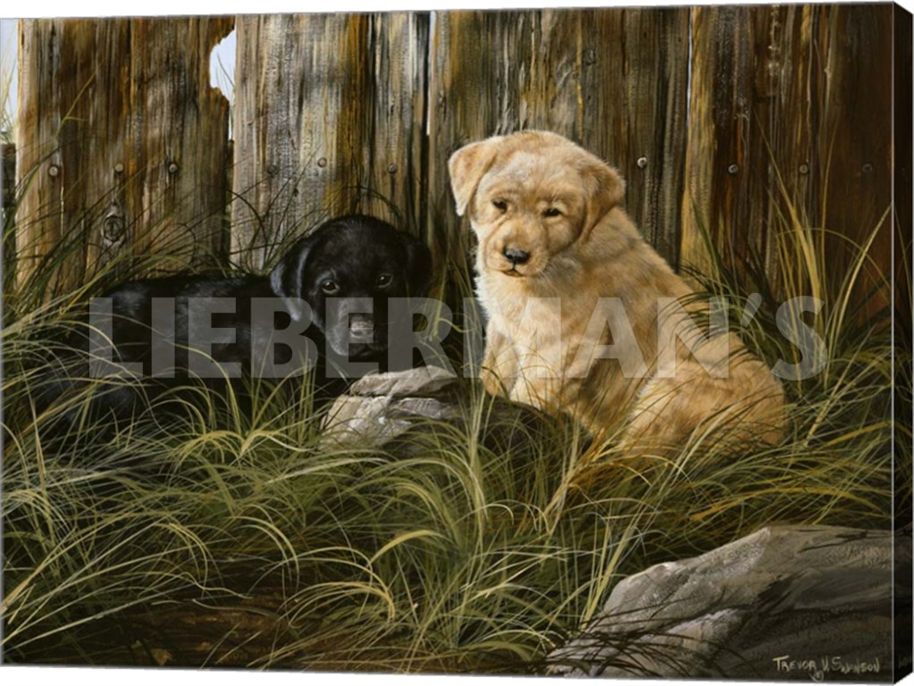 Lab Pup Pair - 24" x 18" Gallery Wrapped Canvas