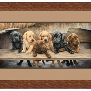 More Hands on Deck - Six Puppies - Artist Proof Paper Print