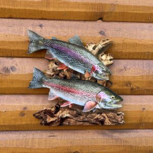 Rainbow Trout Duo Fish Wall Art