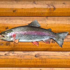 Rainbow Trout Replica Rustic Lake Home Decor