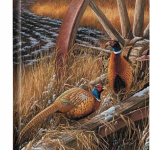 Rustic Outlook - Pheasants - 20.5" x 16" Gallery Wrapped Canvas