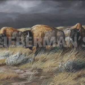 Storm Remnants - Bison - Art Prints