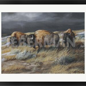 Storm Remnants - Bison - 31″ x 24″ Framed Art Print
