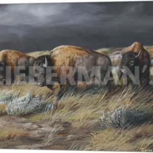 Storm Remnants - Bison - 24″ x 18″ Gallery Wrapped Canvas