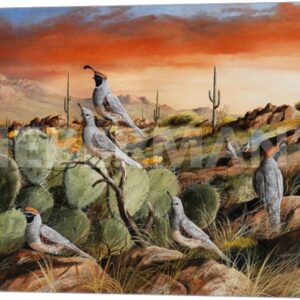 Sunset in Spring - Gambel’s Quail - 24" x 16" Gallery Wrapped Canvas