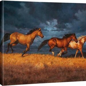 Thunder Ridge - Wild Horses - 16" x 20.5" Gallery Wrapped Canvas
