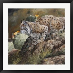 Wild Cat - Lynx - 31" x 30" Framed Art Print