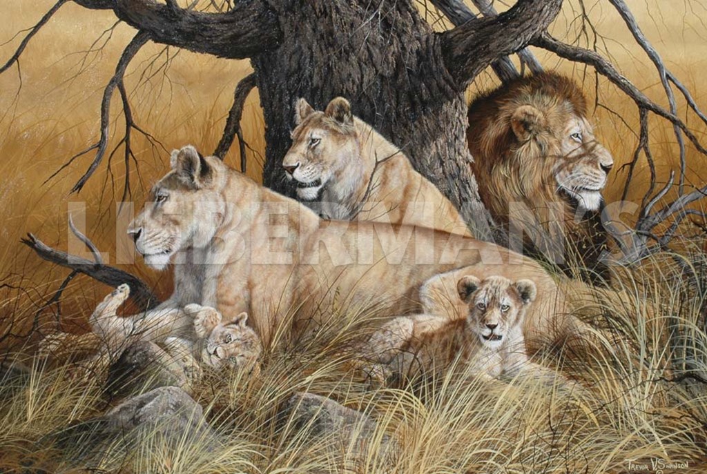 African Family - Lions - Art Prints