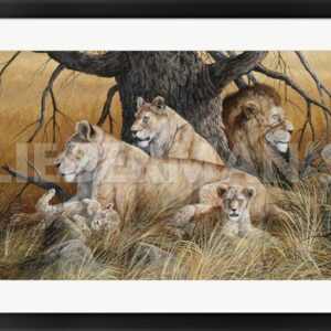 African Family - Lions - 31" x 23" Framed Art Print