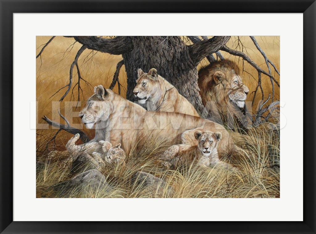 African Family - Lions - 31" x 23" Framed Art Print