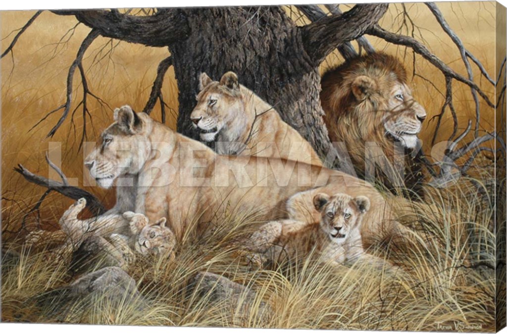 African Family - Lions - 24" x 16" Gallery Wrapped Canvas
