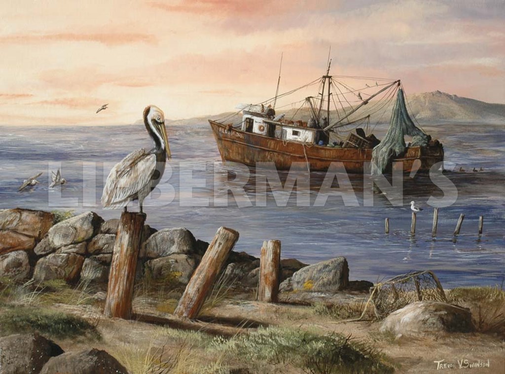 Alejandra Rides Out - Pelican - Art Prints