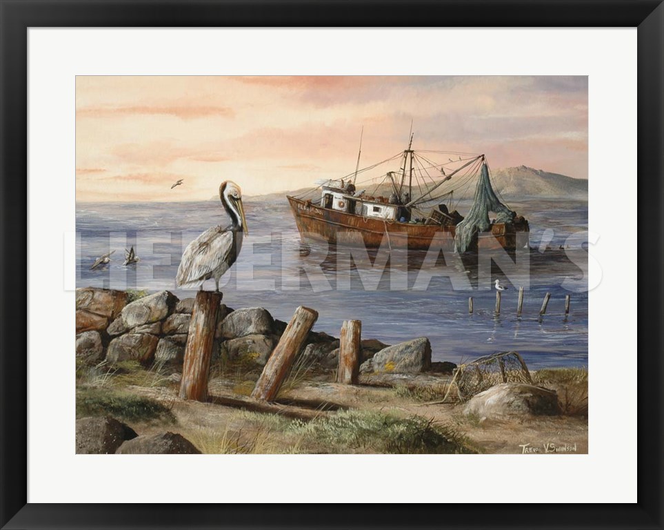 Alejandra Rides Out - Pelican - 31β³ x 24β³ Framed Art Print