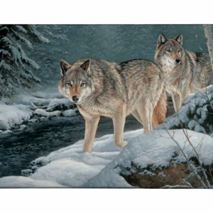 Along the Creekside - Wolves - 18" x 36" Gallery Wrapped Canvas