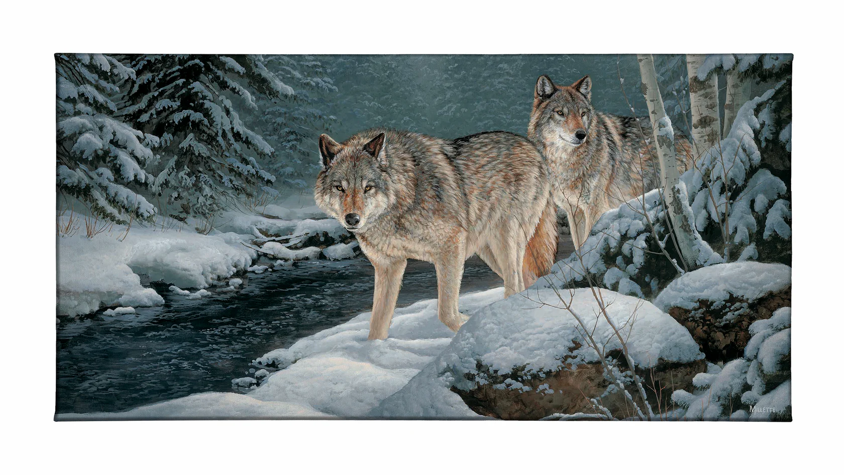 Along the Creekside - Wolves - 18" x 36" Gallery Wrapped Canvas