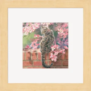 Annie on the Garden Wall - Cat - Contempo Square