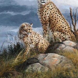 At Watch on The Plains - Cheetahs - Art Prints