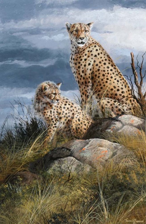 At Watch on The Plains - Cheetahs - Art Prints