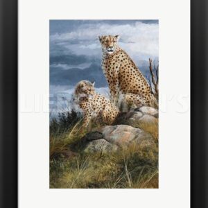At Watch on The Plains - Cheetahs - 15" x 19" Framed Art Print
