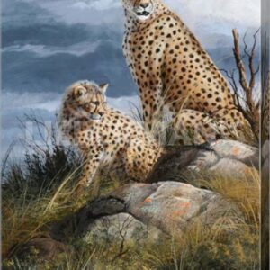At Watch on The Plains - Cheetahs - 8" x 12" Gallery Wrapped Canvas
