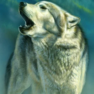 Aurora - Wolf - Unstretched Canvas