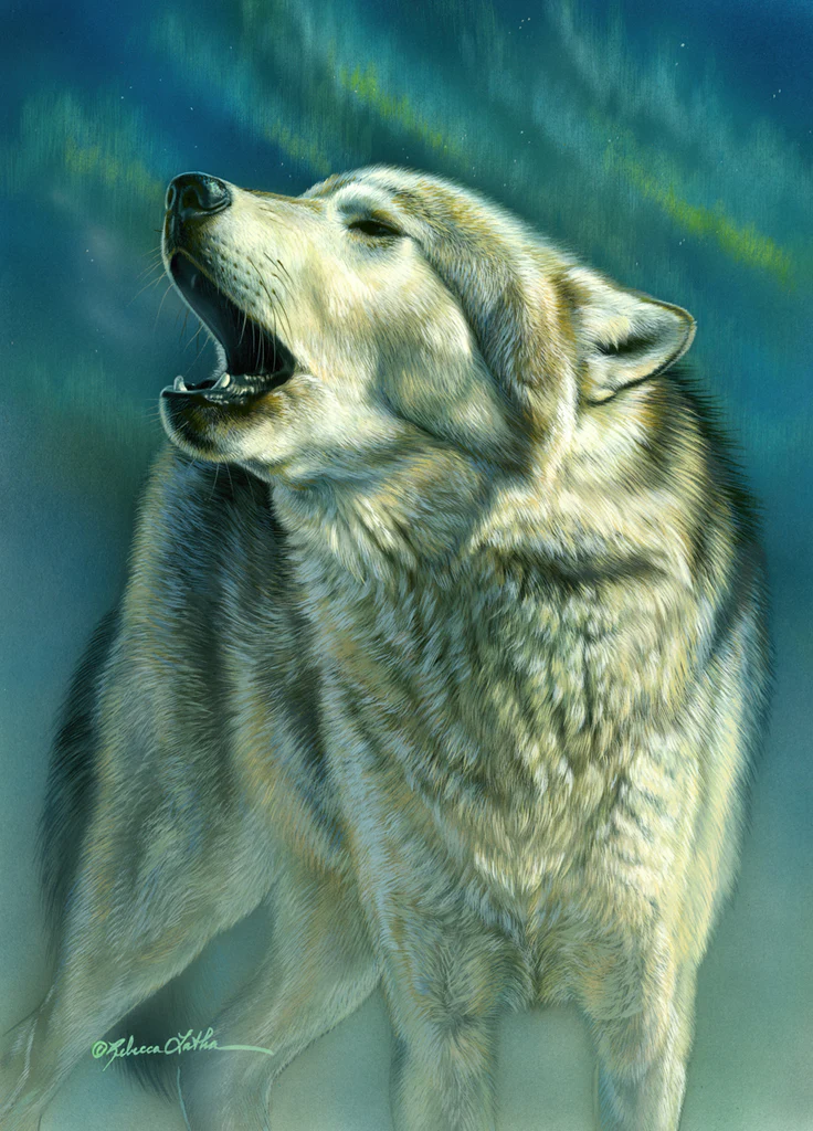 Aurora - Wolf - Unstretched Canvas