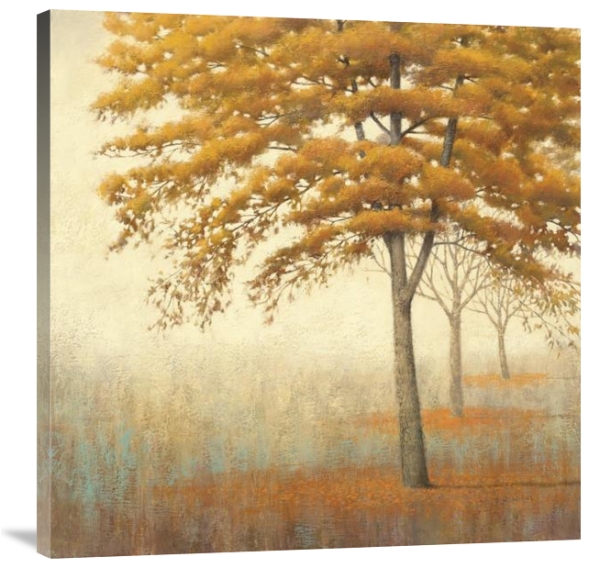 Autumn Trees I - Gallery Wrapped Canvas