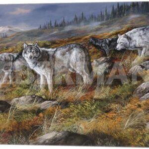 Autumn in Alaska - Wolf Pack - 24" x 14" Gallery Wrapped Canvas