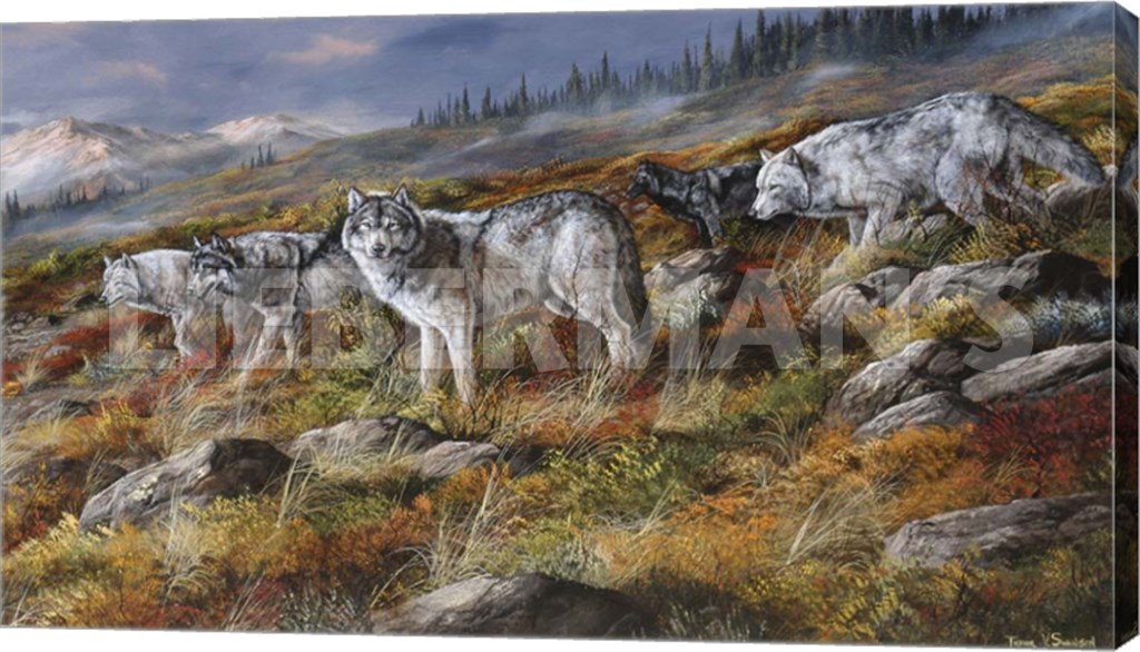 Autumn in Alaska - Wolf Pack - 24" x 14" Gallery Wrapped Canvas
