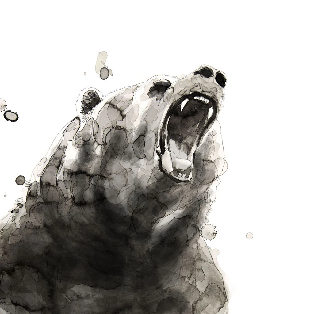 Bear - Unstretched Canvas
