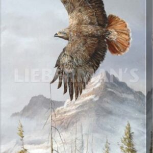 Binking in Flight - Golden Eagle - 12″ x 24″ Gallery Wrapped Canvas
