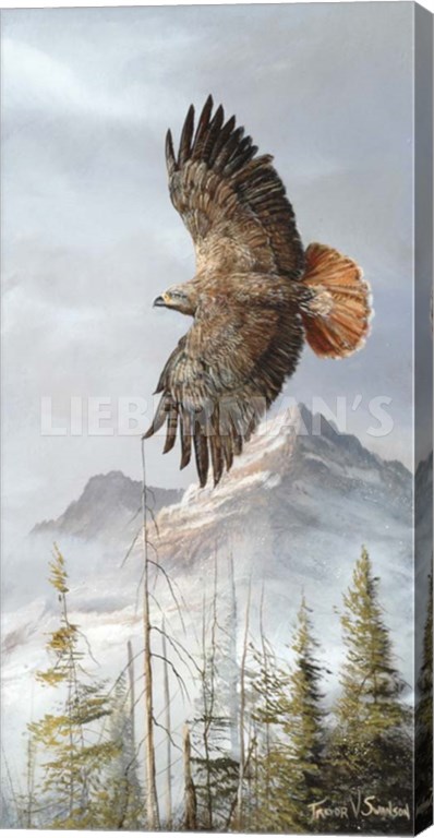 Binking in Flight - Golden Eagle - 12″ x 24″ Gallery Wrapped Canvas