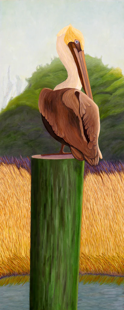 Blue Eyed Pelican I - Giclée Paper
