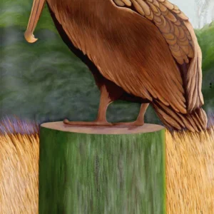 Blue Eyed Pelican II - Poster Paper