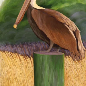Blue Eyed Pelican III - Poster Paper