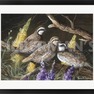 Bobwhite Trio 1 - 31" x 24" Framed Art Print