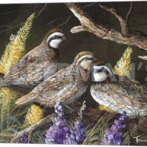 Bobwhite Trio 1 - 24″ x 18″ Gallery Wrapped Canvas