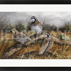 Bobwhite Trio 2 - 31″ x 21″ Framed Art Print