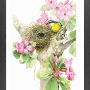 Building a Tropical Home - Bananaquit Songbird - 11″ x 14″ Art Print