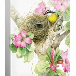 Building a Tropical Home - Bananaquit Songbird - 9" x 12" Gallery Wrapped Canvas